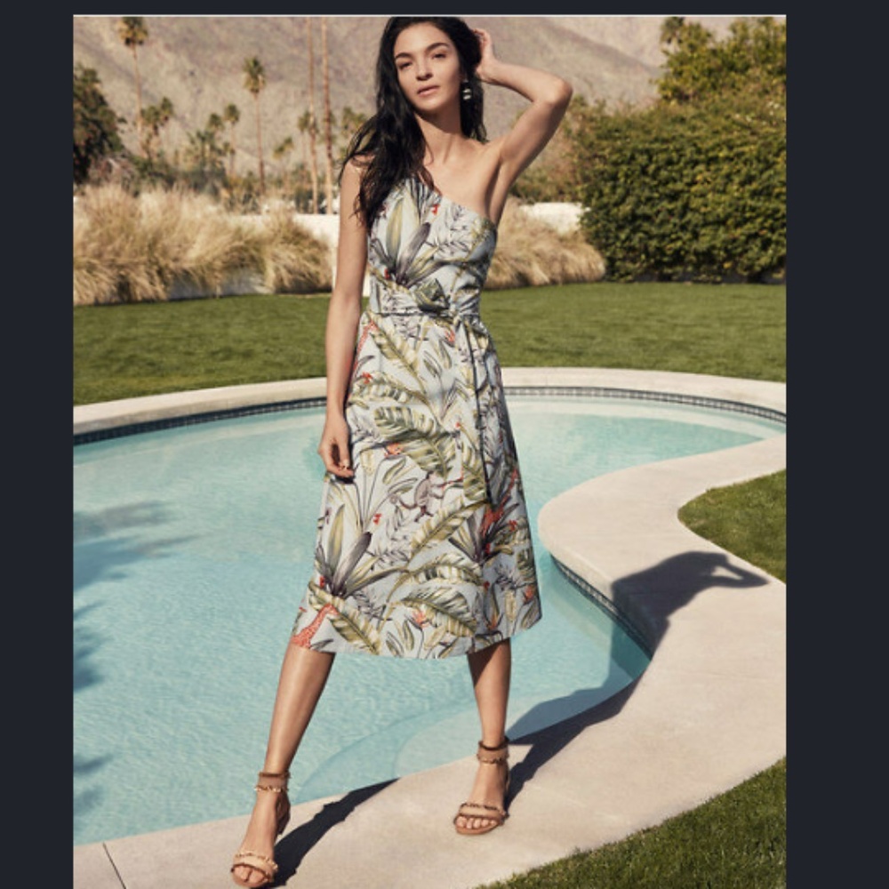 Ann Taylor Jungle Print Toga Dress Blue monkey